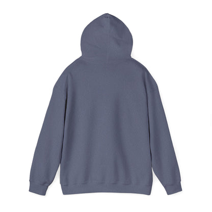 Stylish Unisex Hoodie with Retro Mountain Design, Cozy Apparel, Perfect for Outdoor Lovers, Gifts for Him or Her, Casual Wear