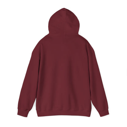 Stylish Unisex Hoodie with Retro Mountain Design, Cozy Apparel, Perfect for Outdoor Lovers, Gifts for Him or Her, Casual Wear
