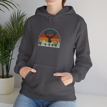 Stylish Unisex Hoodie with Retro Mountain Design, Cozy Apparel, Perfect for Outdoor Lovers, Gifts for Him or Her, Casual Wear