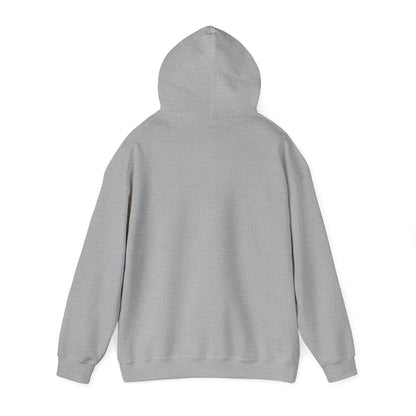 Stylish Unisex Hoodie with Retro Mountain Design, Cozy Apparel, Perfect for Outdoor Lovers, Gifts for Him or Her, Casual Wear