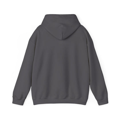 Stylish Unisex Hoodie with Retro Mountain Design, Cozy Apparel, Perfect for Outdoor Lovers, Gifts for Him or Her, Casual Wear