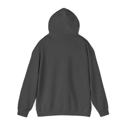 Stylish Unisex Hoodie with Retro Mountain Design, Cozy Apparel, Perfect for Outdoor Lovers, Gifts for Him or Her, Casual Wear