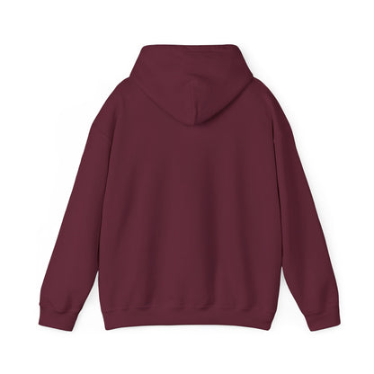 Stylish Unisex Hoodie with Retro Mountain Design, Cozy Apparel, Perfect for Outdoor Lovers, Gifts for Him or Her, Casual Wear