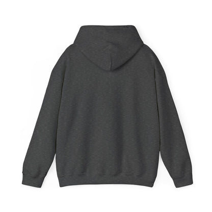 Stylish Unisex Hoodie with Retro Mountain Design, Cozy Apparel, Perfect for Outdoor Lovers, Gifts for Him or Her, Casual Wear