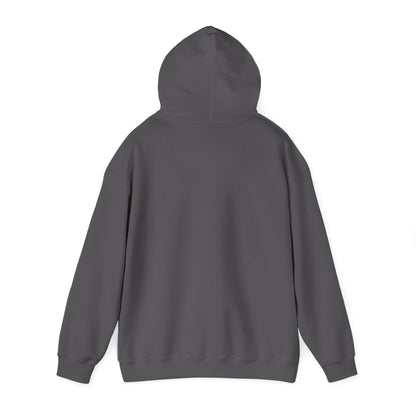 Stylish Unisex Hoodie with Retro Mountain Design, Cozy Apparel, Perfect for Outdoor Lovers, Gifts for Him or Her, Casual Wear
