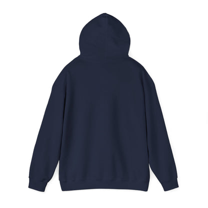 Stylish Unisex Hoodie with Retro Mountain Design, Cozy Apparel, Perfect for Outdoor Lovers, Gifts for Him or Her, Casual Wear