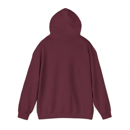 Stylish Unisex Hoodie with Retro Mountain Design, Cozy Apparel, Perfect for Outdoor Lovers, Gifts for Him or Her, Casual Wear